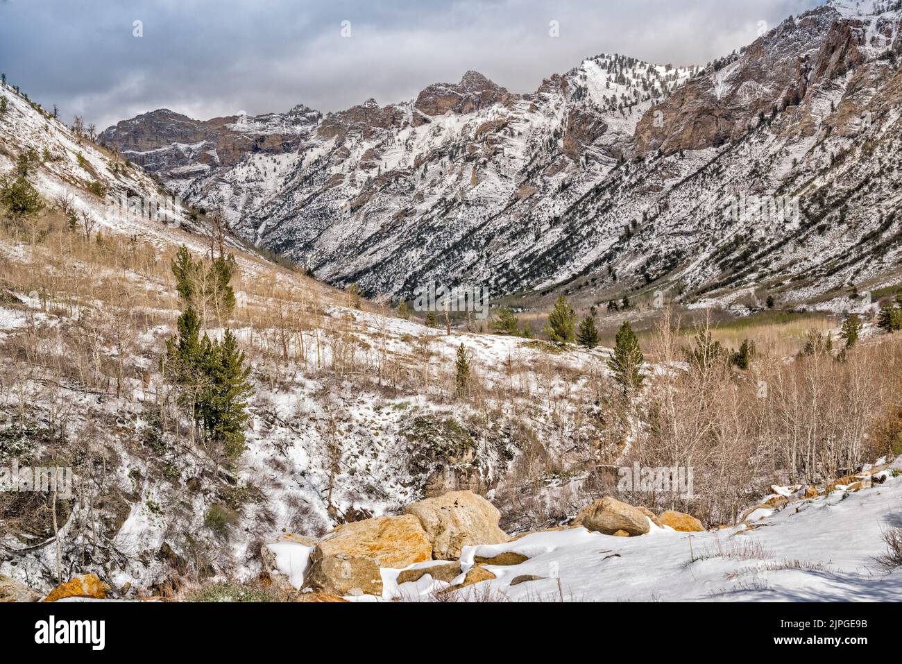 Lamoille Canyon nelle Ruby Mountains, dopo la tempesta di neve in tarda primavera, Humboldt-Toiyabe National Forest, Nevada, USA Foto Stock