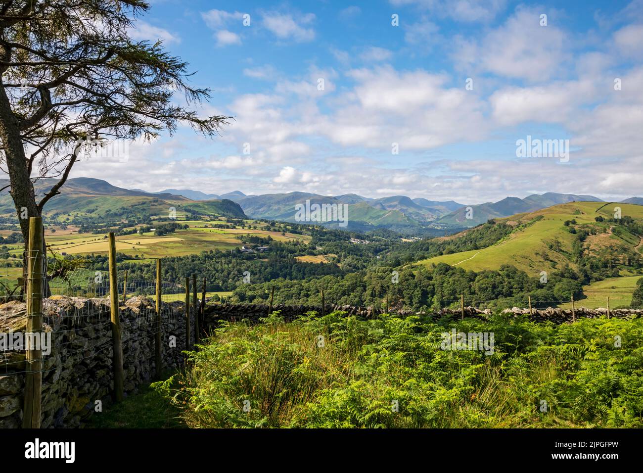 Vista da Blease Fell verso Latrigg, Walla Crag e Catbells in estate vicino a Keswick Lake District National Park Cumbria Inghilterra Regno Unito GB Foto Stock