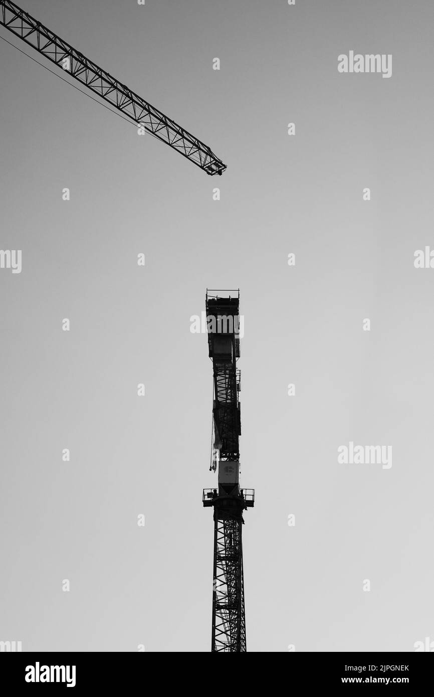 Una scala di grigi delle gru contro il cielo a Leuven Foto Stock
