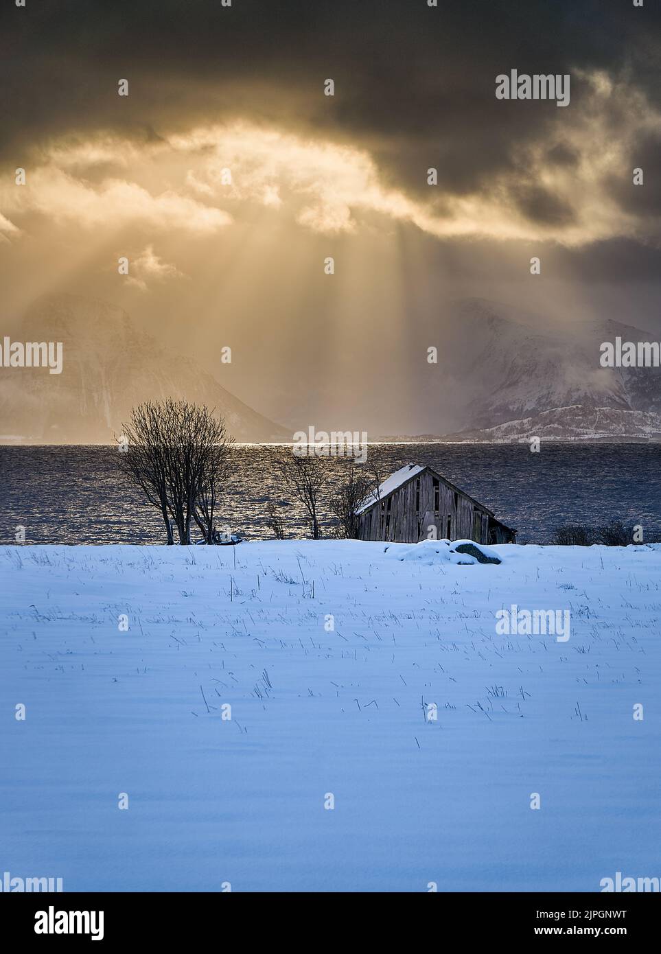Casa solitaria su Godøy in inverno, Sunnmøre, Møre og Romsdal, Norvegia. Foto Stock