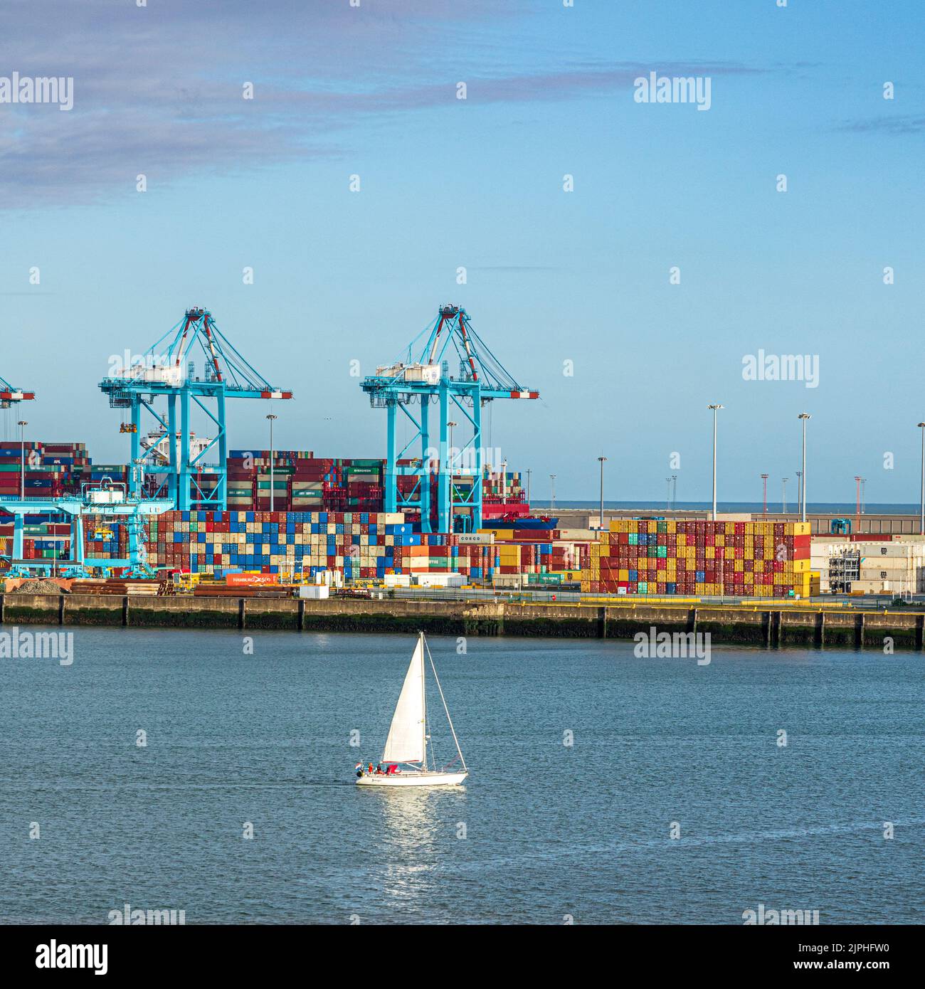 Una barca a vela di prima mattina che passa i container in attesa di trasbordo sul molo nel porto di Zeebrugge, Belgio Foto Stock