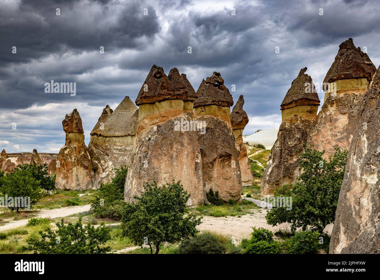 vista delle formazioni rocciose nella valle delle rose in cappadocia. Turchia Foto Stock