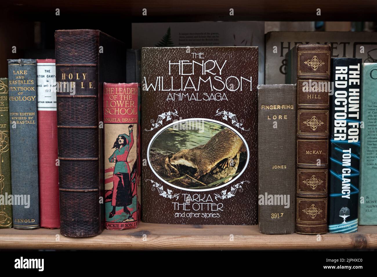 Libri d'epoca in vendita nella vetrina di un libraio a Edimburgo, Scozia, Regno Unito. Foto Stock