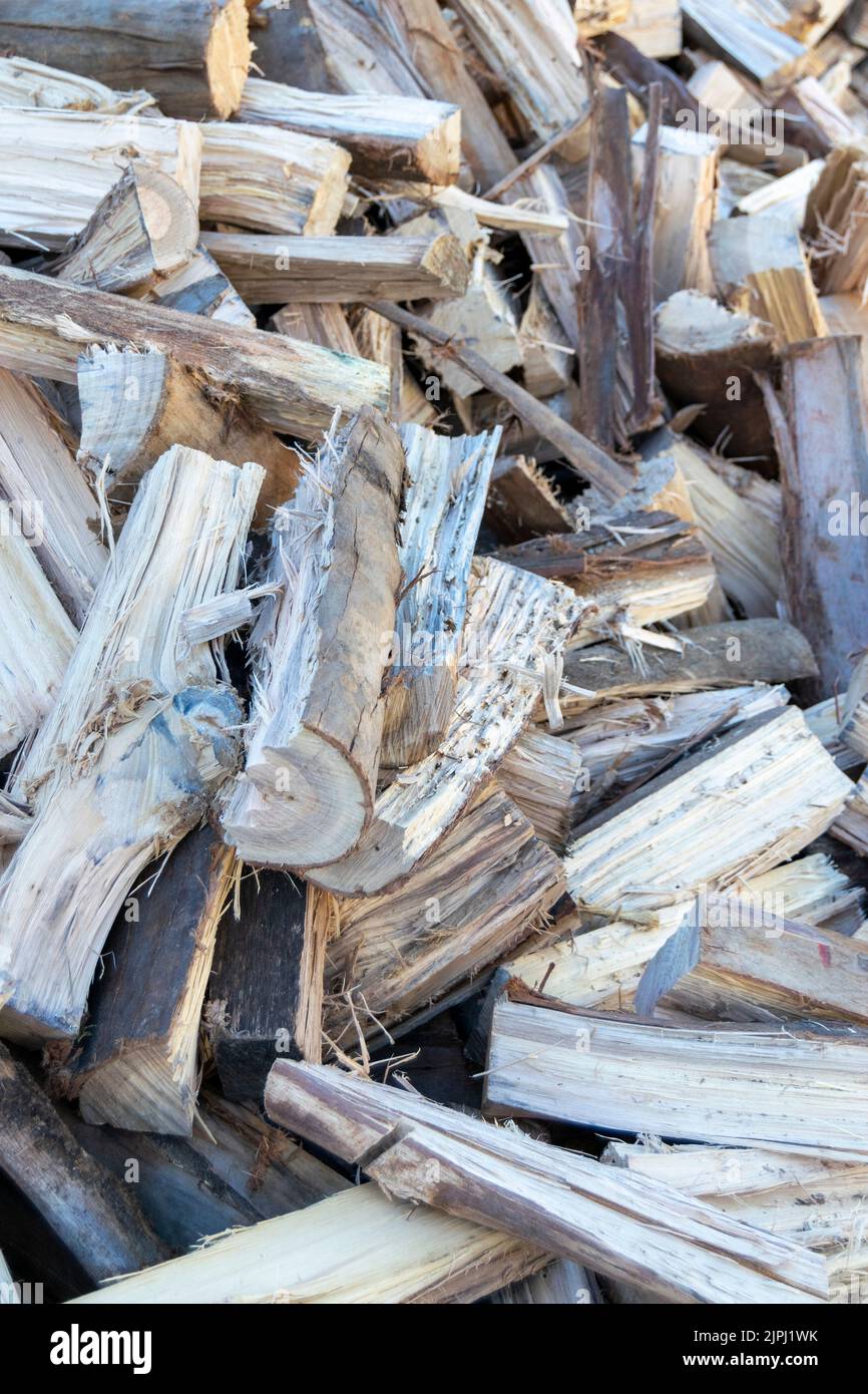 Deposito di legno per i periodi di inverno, alternativa di costi alti di energia per scaldare le case. Energia di legno per usare come combustibile. Costi elevati di elettricità e gas. Foto Stock