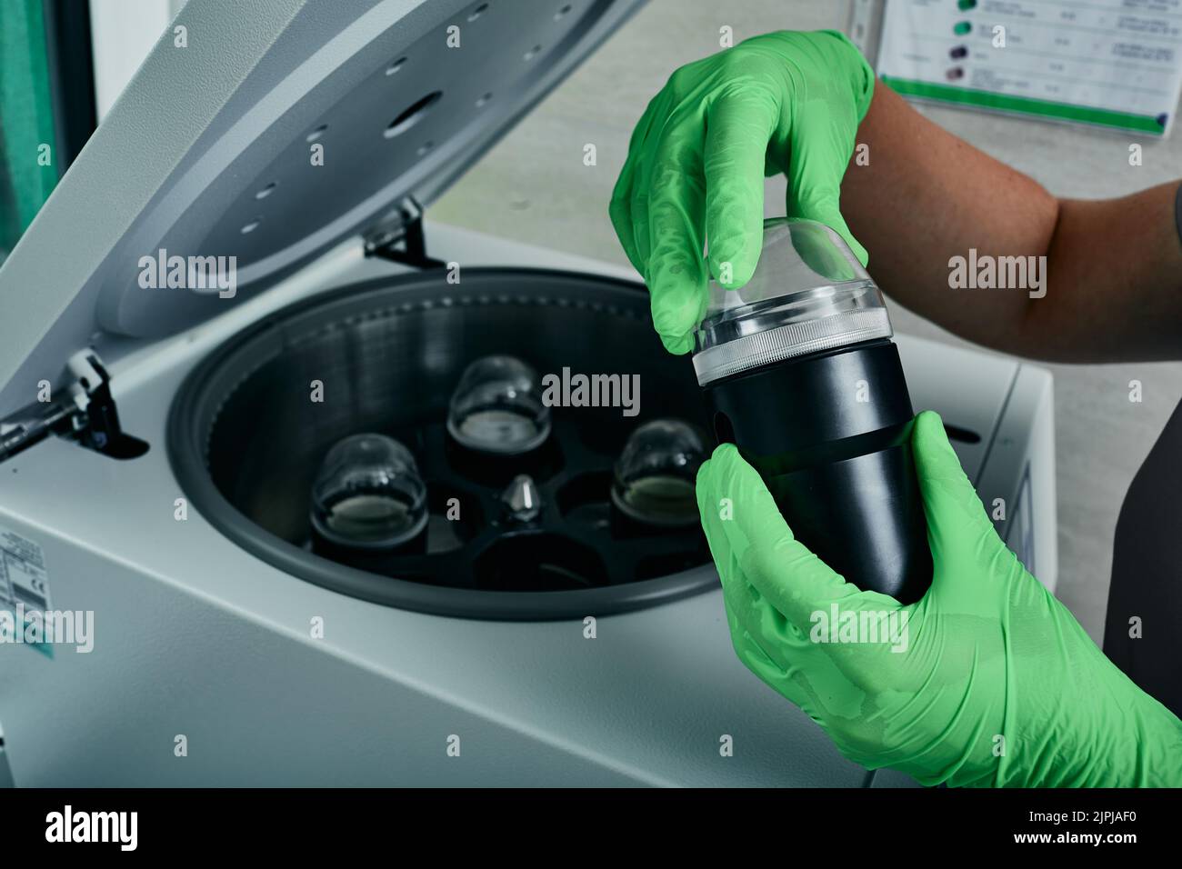Scienziato di laboratorio che colloca le provette per analisi del sangue nella centrifuga. Laboratorio medico di ricerca Foto Stock