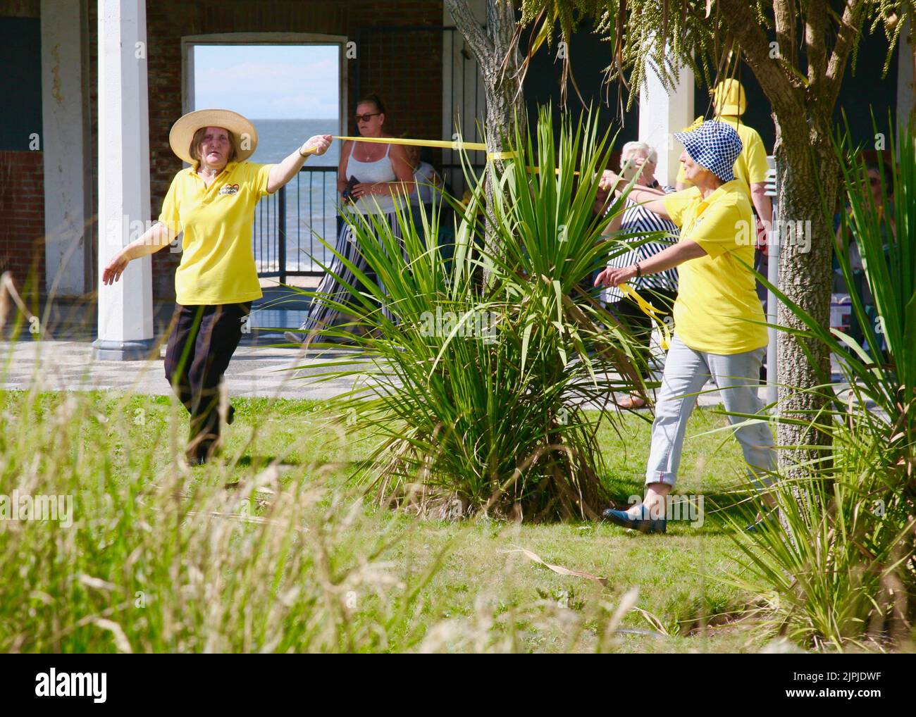 Legare un nastro giallo intorno al vecchio albero di quercia Foto Stock