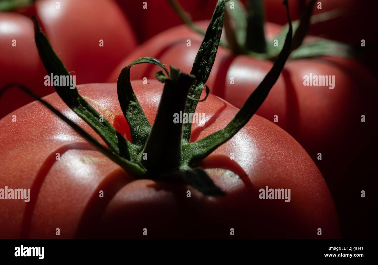 Pomodori maturi isolati. Verdure rosse in primo piano. Pomodori maturi dall'aspetto gustoso con gambi verdi. Foto Stock