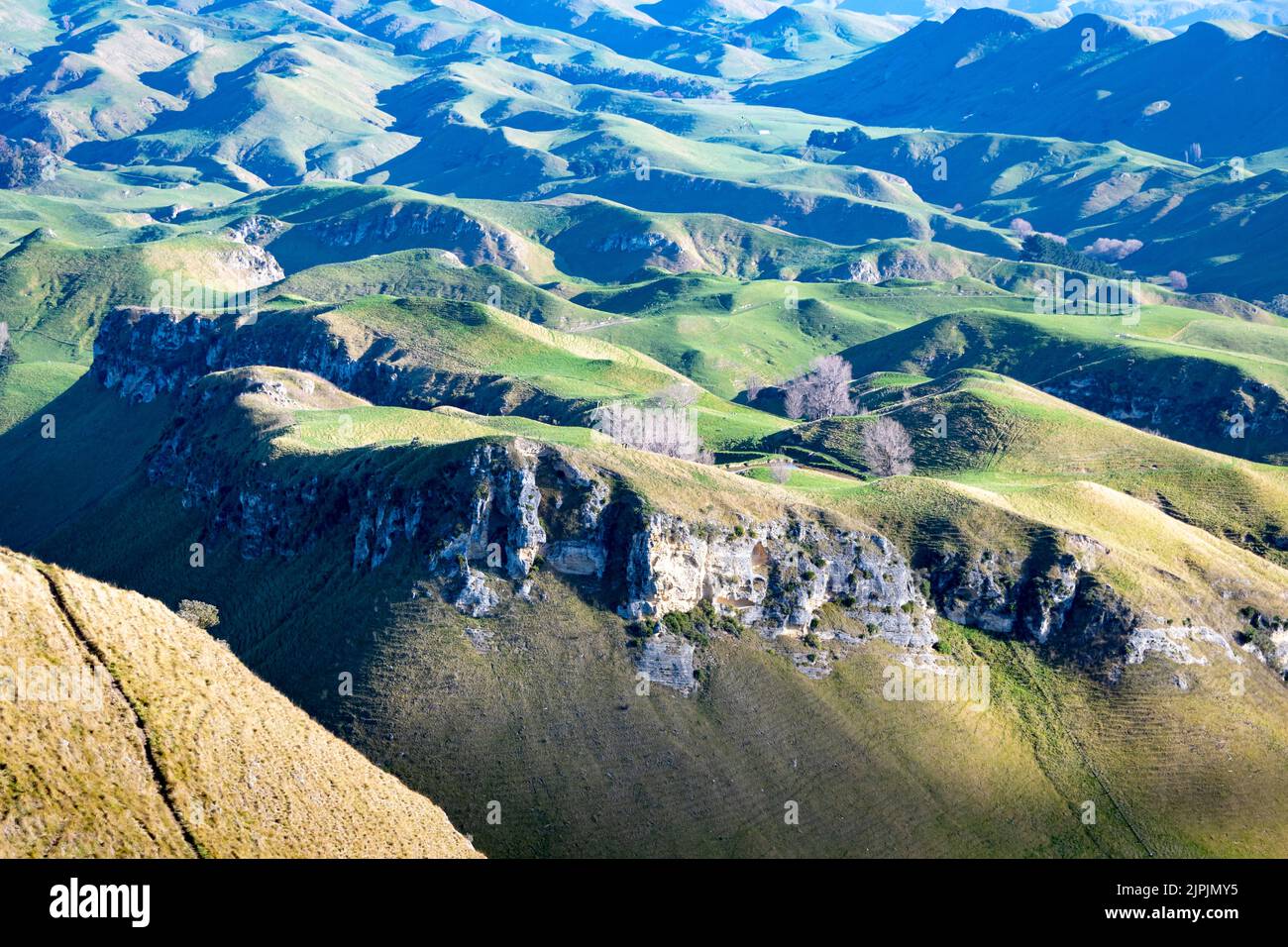Aspra campagna collinare al te Mata Peak, vicino a Havelock North e Hastings, Hawkes Bay, North Island, Nuova Zelanda Foto Stock