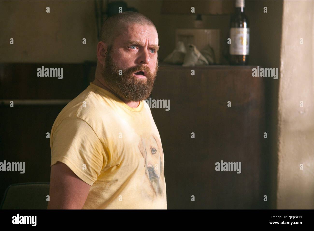 ZACH GALIFIANAKIS, LA PARTE DI HANGOVER II, 2011 Foto Stock