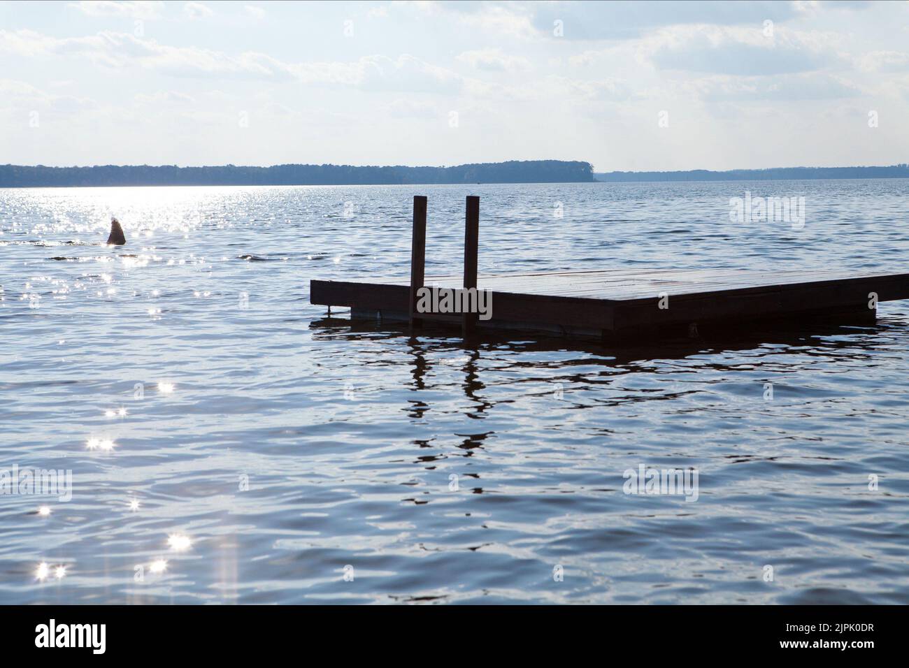 Squalo, FLOATING DOCK, SHARK NOTTE 3D, 2011 Foto Stock