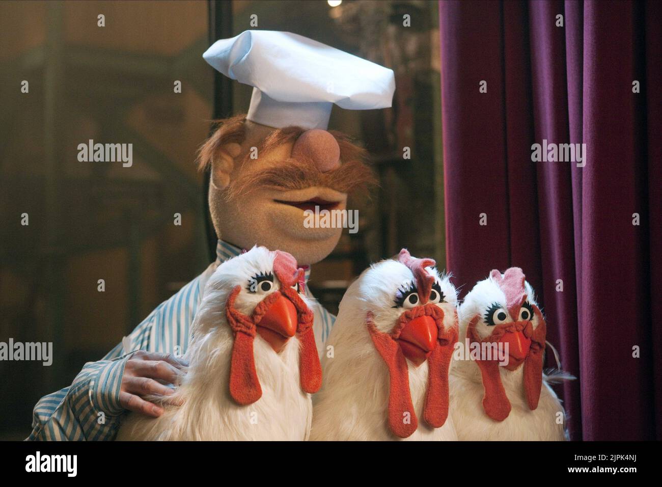 Lo chef svedese, i Muppets, 2011 Foto Stock