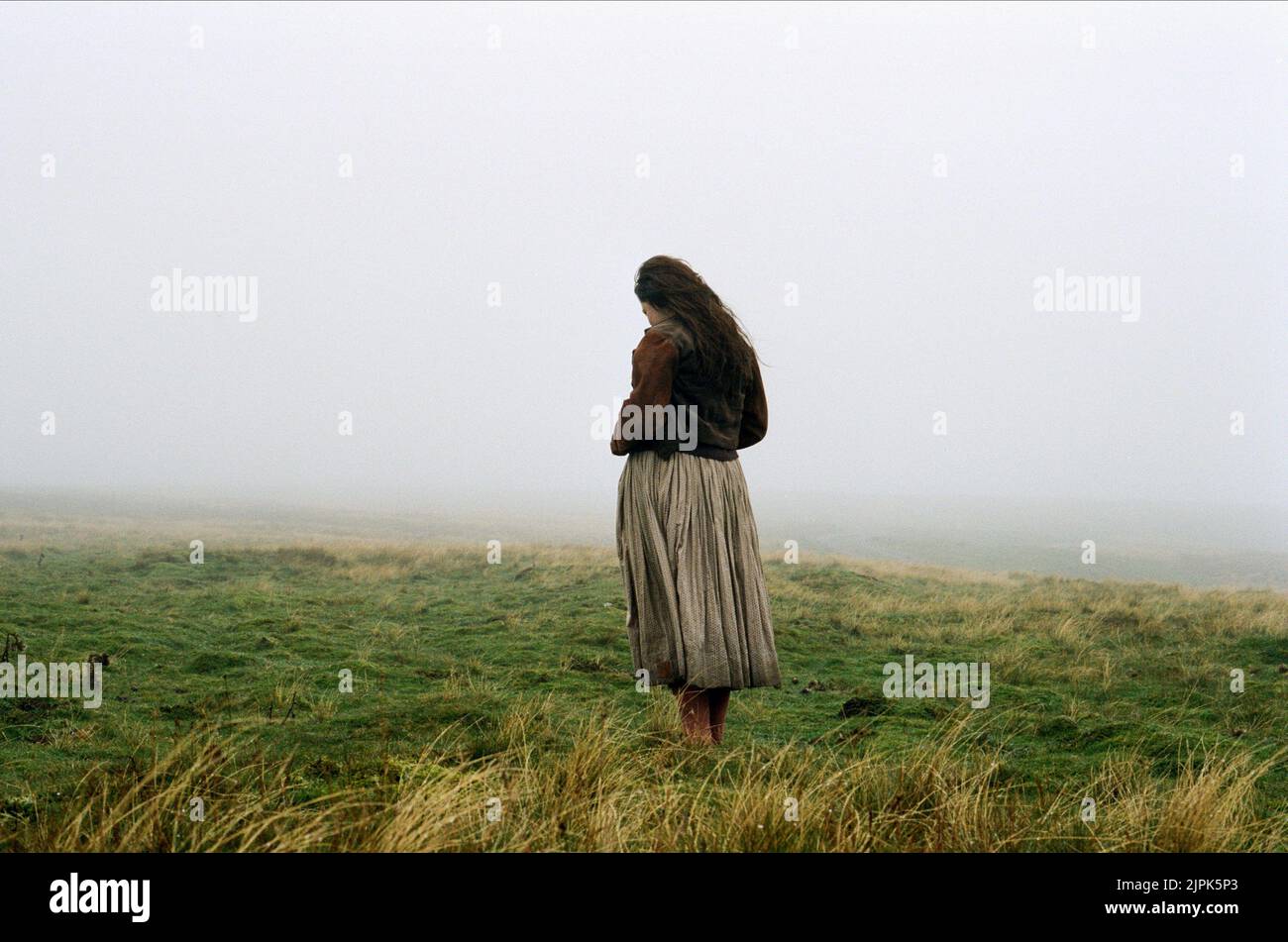 Birra di Shannon, Wuthering Heights, 2011 Foto Stock