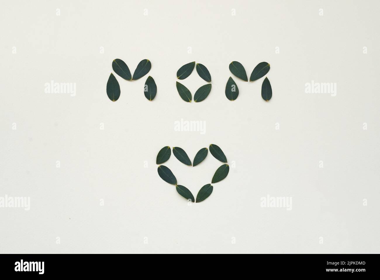 dattiloscritto, giorno delle madri, fogliame, mamma, dattiloscritti, giorni delle madri, fogliame Foto Stock