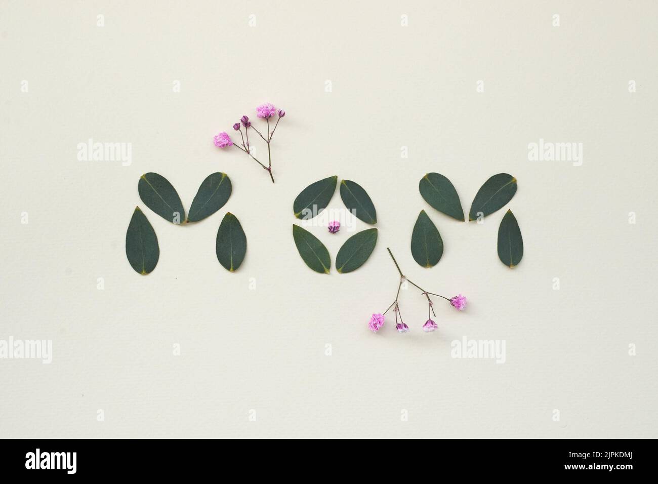 dattiloscritto, giorno delle madri, mamma, dattiloscritti, giorni delle madri Foto Stock