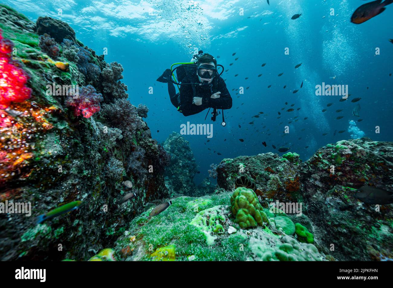Tuffati esplorando le acque tropicali del Mare delle Andamane in Thailandia Foto Stock