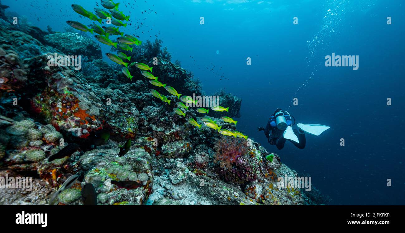 Tuffati esplorando le acque tropicali del Mare delle Andamane in Thailandia Foto Stock