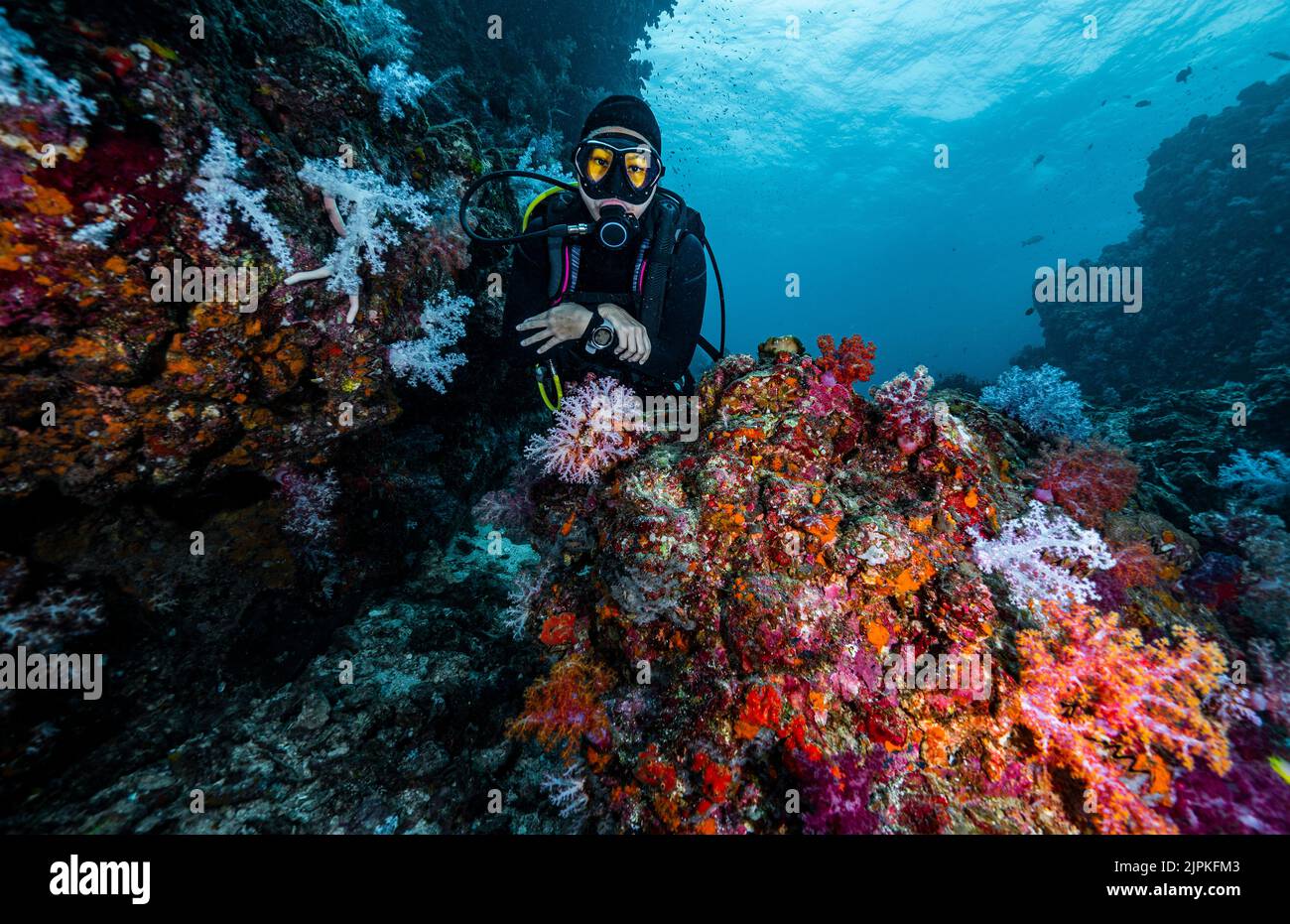 Tuffati esplorando le acque tropicali del Mare delle Andamane in Thailandia Foto Stock
