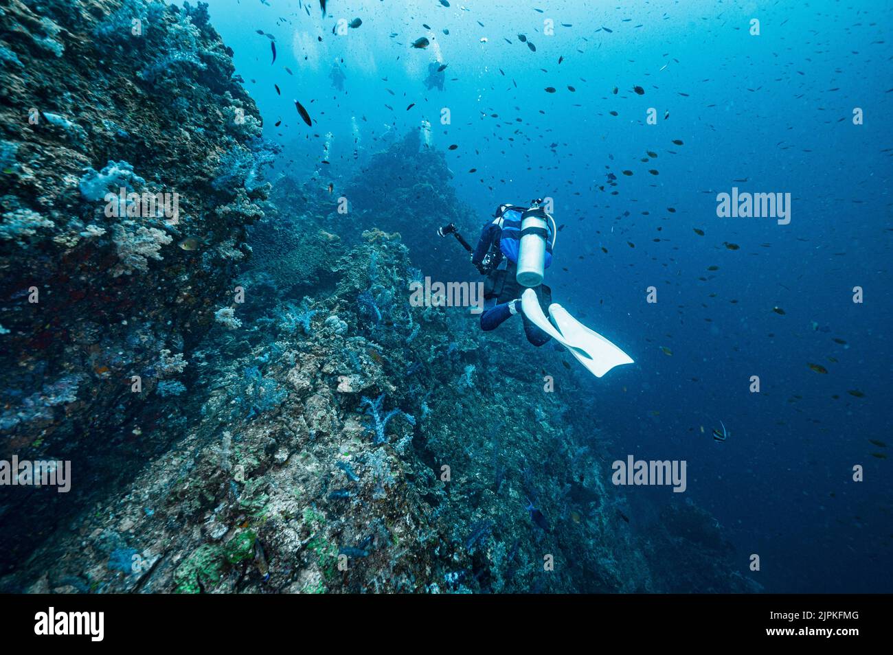 Tuffati esplorando le acque tropicali del Mare delle Andamane in Thailandia Foto Stock