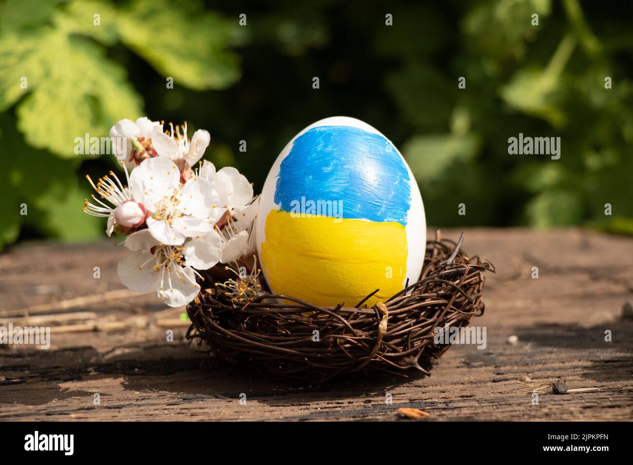 Un uovo di pollo bianco con una bandiera giallo-blu dipinta di Ucraina in un cesto di paglia al sole in Ucraina in una fattoria, vacanze di Pasqua in Ucraina 2022 Foto Stock