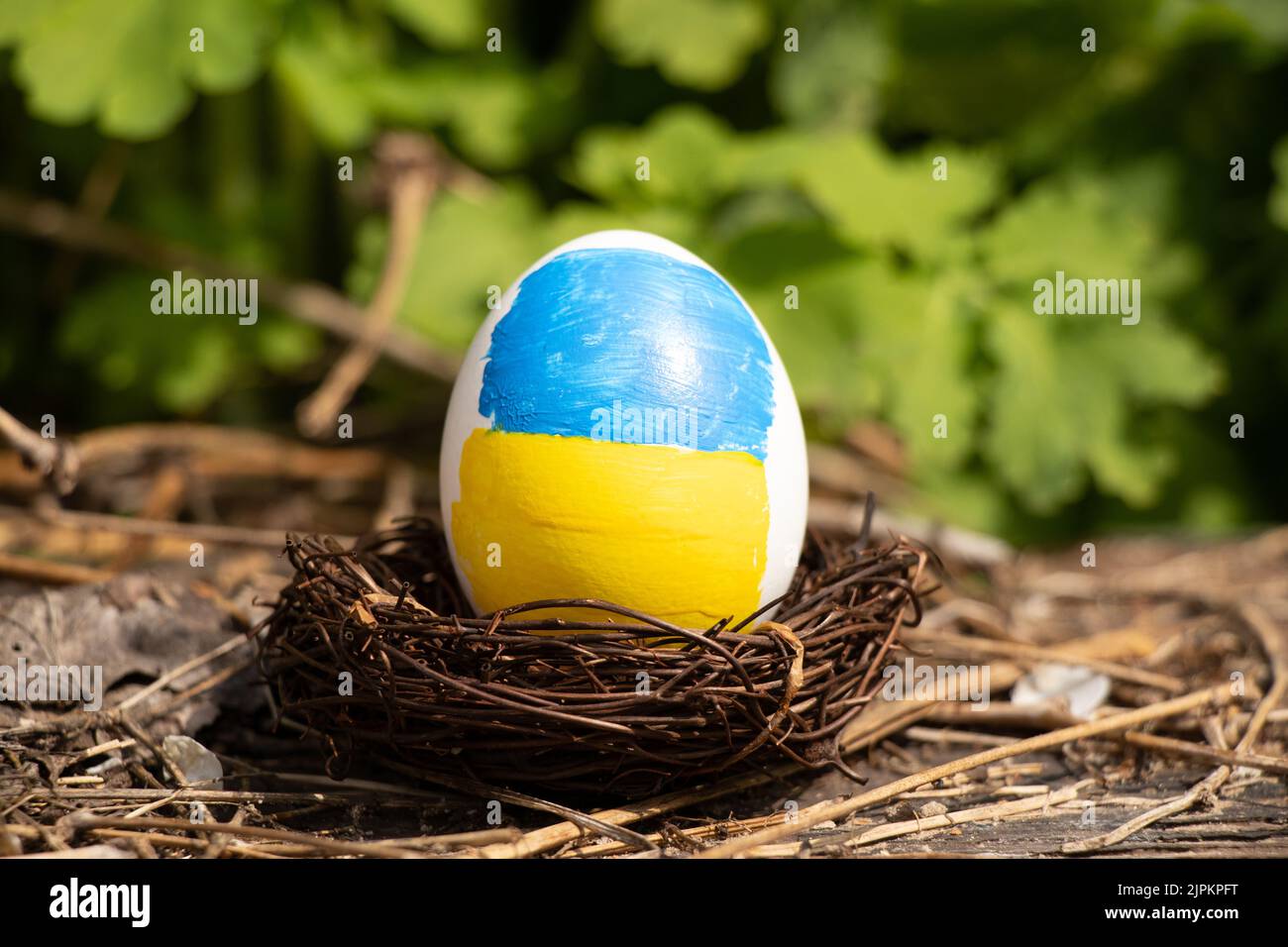 Un uovo di pollo bianco con una bandiera giallo-blu dipinta di Ucraina in un cesto di paglia al sole in Ucraina in una fattoria, vacanze di Pasqua in Ucraina 2022 Foto Stock