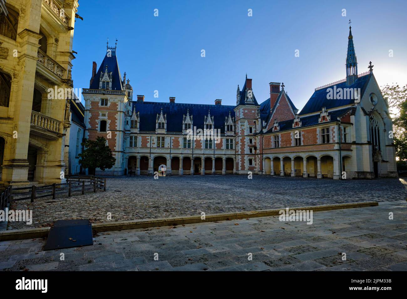 Francia, Loir-et-Cher (41), Valle della Loira Patrimonio Mondiale dell'UNESCO, Blois, Blois Castello Foto Stock