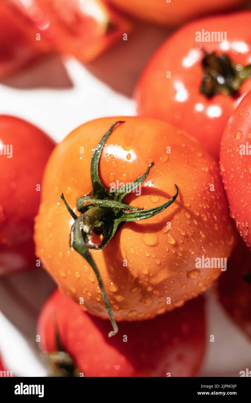 Pomodori freschi e colorati (rossi, gialli, arancioni) si chiudono con gocce e ombre dure Foto Stock