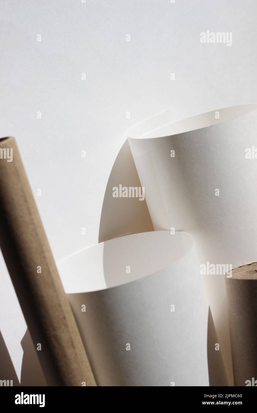 Rotoli di carta dell'artista su sfondo bianco. Mockups Studio di Design moderno. Foto Stock