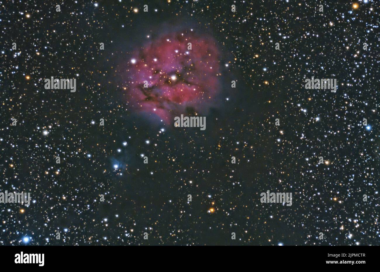 La nebulosa Cocoon, IC5146 a di riflessione ed emissione in Cygnus. Cielo notturno e sfondo stelle Foto Stock