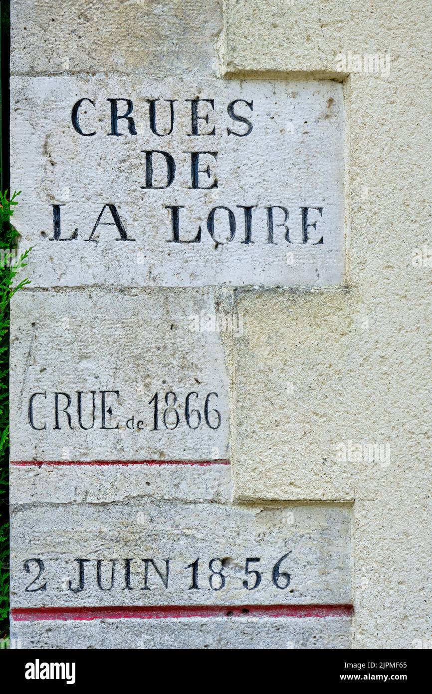 Francia, Loiret, Combleux, livello di alluvione della Loira Foto Stock