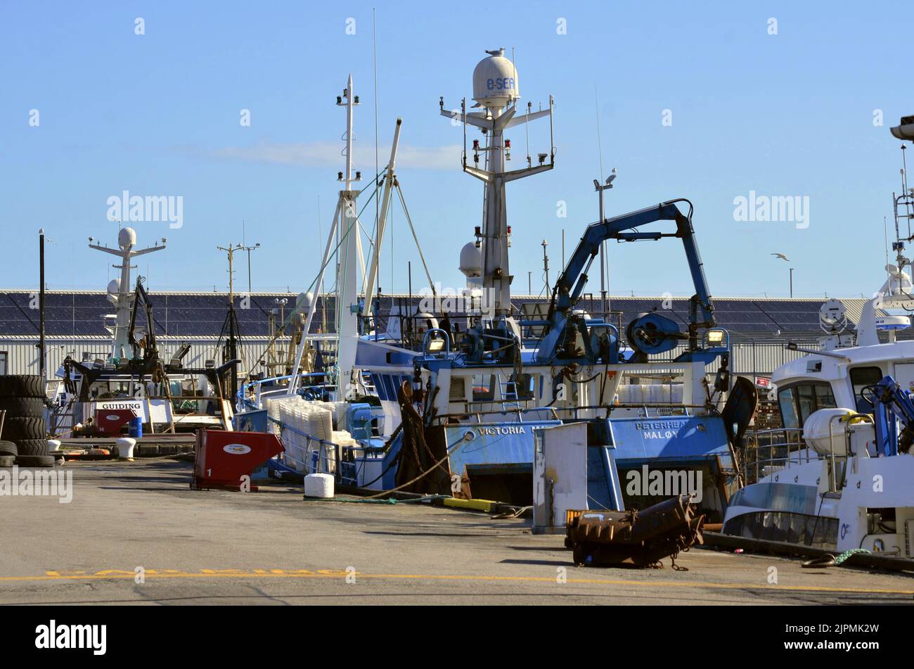 Porto nel porto di pescatori di Peterhead nell'Aberdeenshire, Scozia, Regno Unito Foto Stock