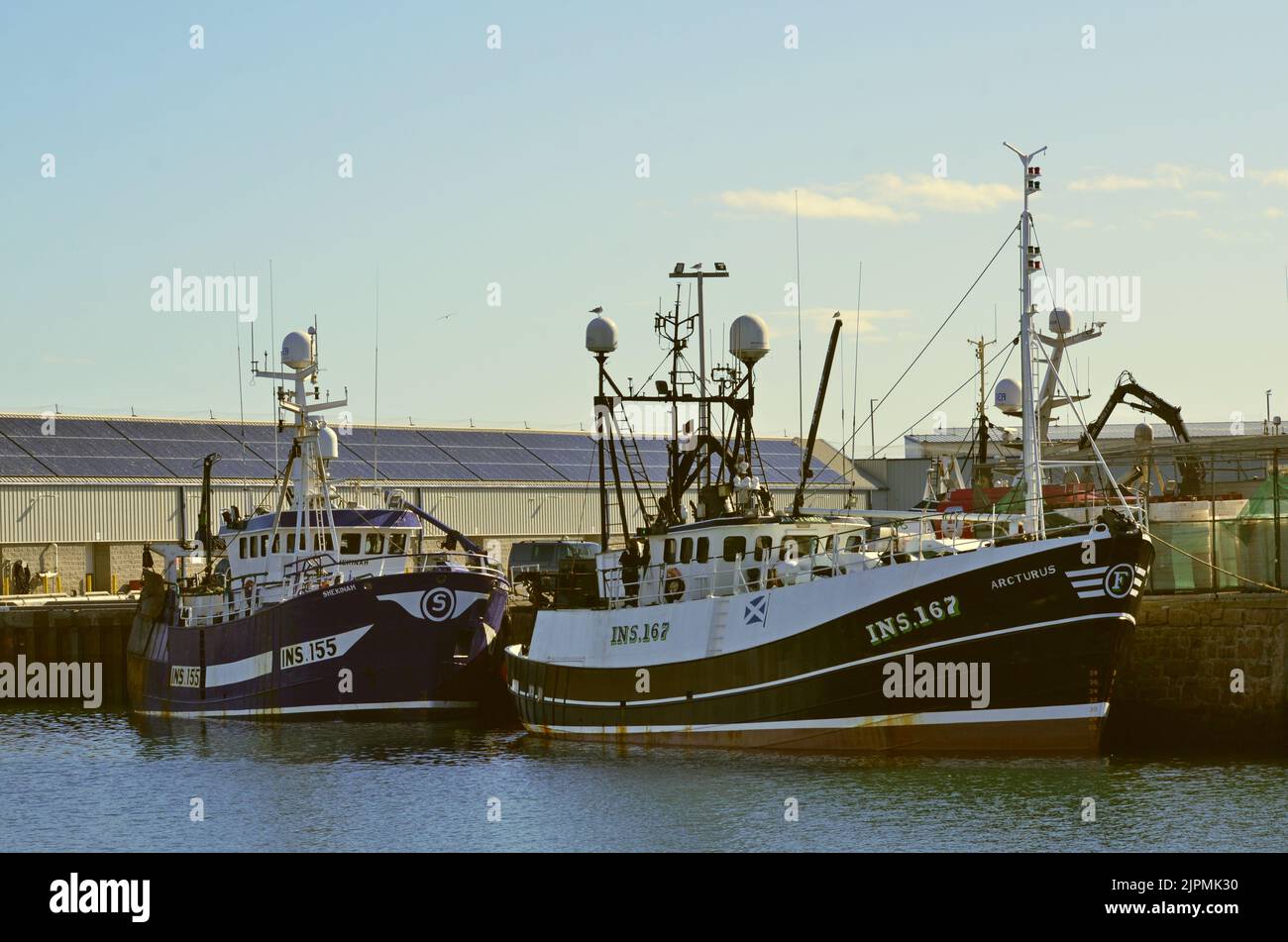 Porto nel porto di pescatori di Peterhead nell'Aberdeenshire, Scozia, Regno Unito Foto Stock
