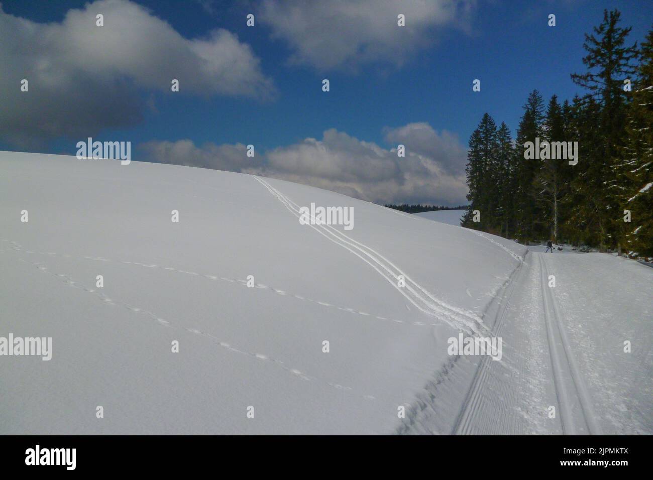 Uno scenario di un campo invernale coperto di neve a Chapelle-des-bois, Francia Foto Stock