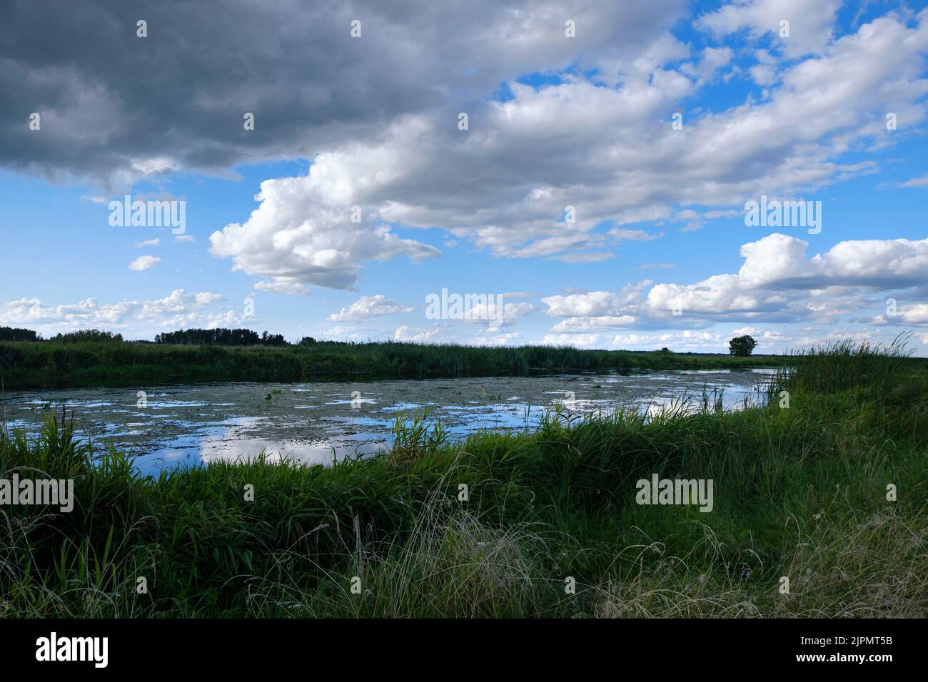 Le soffici nuvole sul fiume Biebrza si riflettono nell'acqua. Moody nuvoloso con cielo coperto. Precipita nelle paludi e nella natura selvaggia. Conteggio Foto Stock