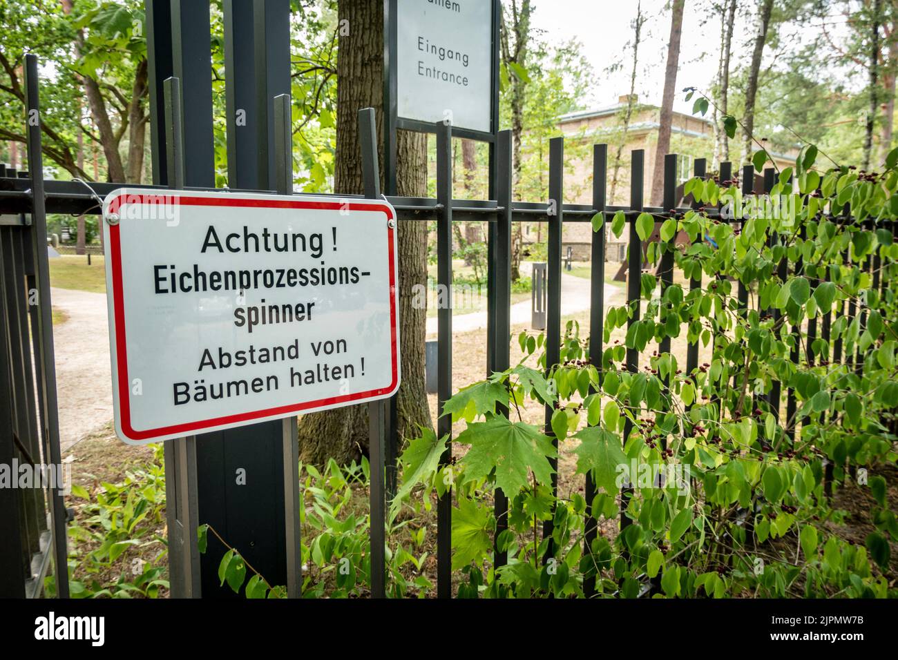 Warnung vor Eichenprozessionspinner, Grunewald, Berlino, Deutschland Foto Stock