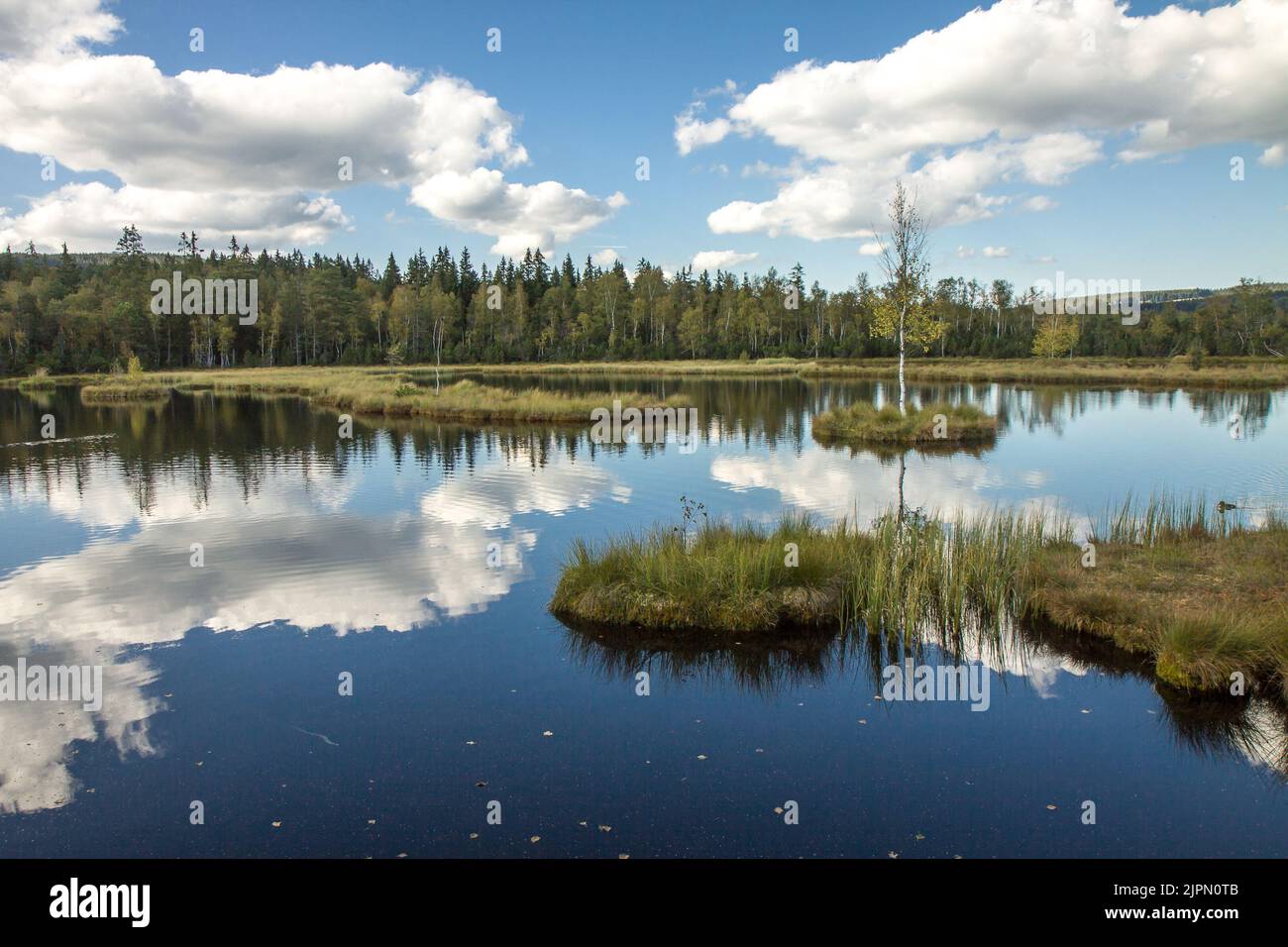 Bella vista panoramica di Chalupska slat, Borova Lada, Parco Nazionale Sumava, Repubblica Ceca Europa. Sfondo HD, sfondo 4K Foto Stock