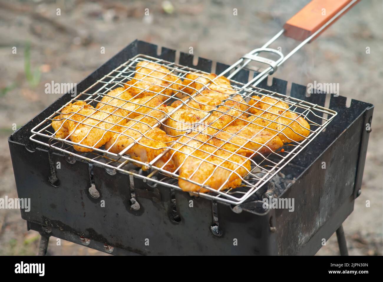 Carne di uccello alla griglia. Ali di pollo, tacchino, anatra, quaglia, piccione. Popolari ricette del ristorante per la cucina dietetica. Cena e riposo in famiglia, foto Foto Stock