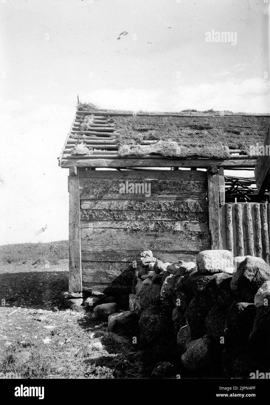 Soggiorno di corvo, Corvus Corone Cormix, tetto di Höladan vecchia Bo AV kråka, Corvus corone Cormix, gamla höladans tak Foto Stock