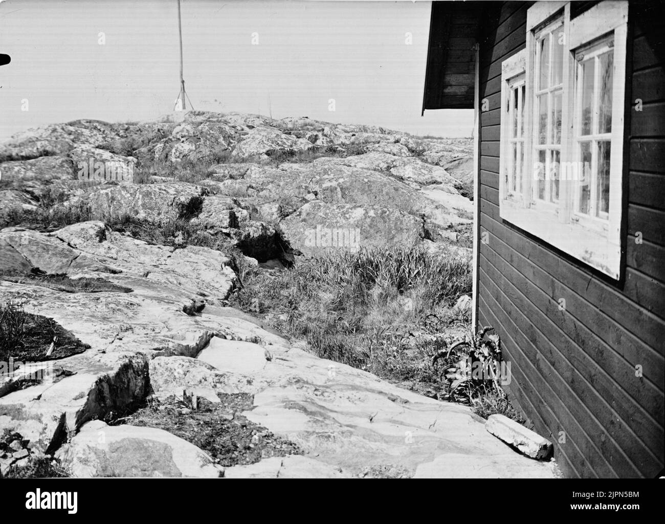 Soluzione per l'affilatura della fresa principale del Källskären. Il nido in erba/accanto al cottage Boplats för Skärpiplärka Källskärens huvudskär. Boet i gräset/Brevid stugan Foto Stock