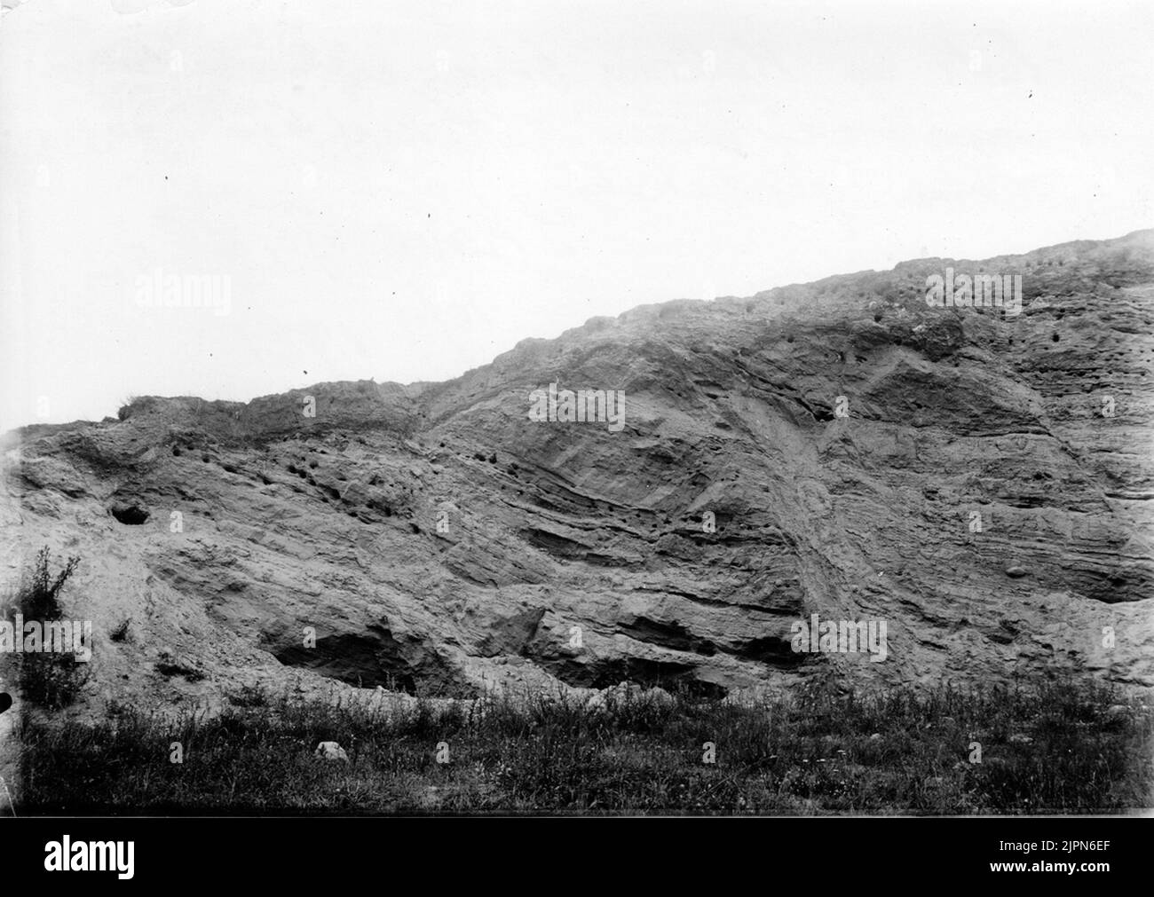 Partito della collina di Hyltarp, che mostra le balene del suolo? Più facilmente aveva nidi in alcuni strati di suolo più morbidi. 10/7-1921 parti AV Hyltarps backe, visande jordsvalorna ? Mera lätt haft bon i vissa mjukare jordskikt. 10/7-1921 Foto Stock