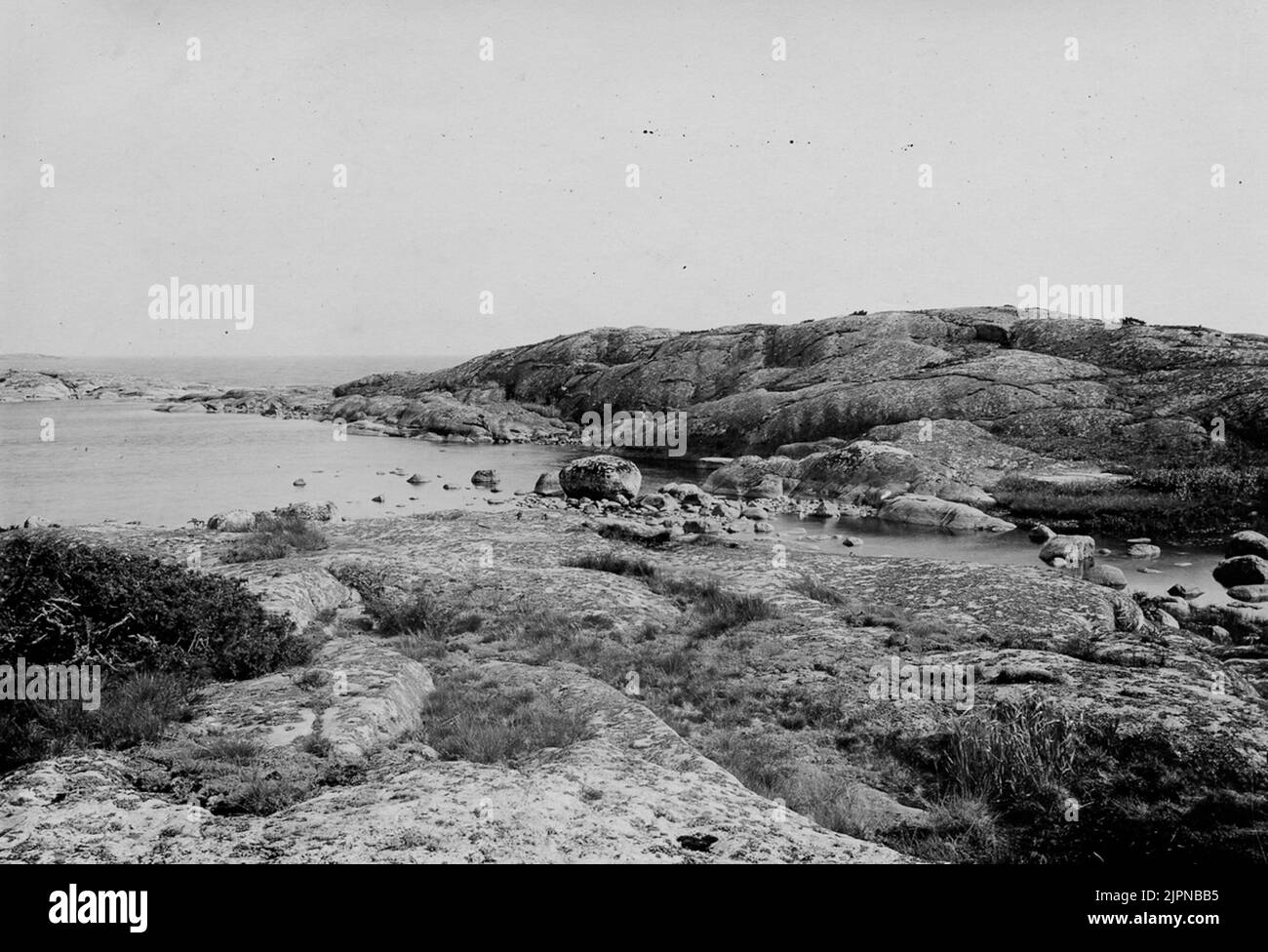 Kalskär presto. S. circa Österskär, s.. Informazioni su Sandhamn. Residenza per ejder, laboratorio, terna d'argento, così come un nido di cucchiaio e.wibeek (il nido del laboratorio era circa la cresta destra del lontano sulla foto. Parte visibile di Skäret.e.wibeek Foto 11/6 1937. Kalskär strax. S. om österskär, S. om Sandhamn. Boplats för bl a ejder, labb, silvertärna, samt ett bo av skedand E.Wibeek (labbens bo låg ungefär på högra krönet AV den bortre på bilden. Synliga delen AV skäret.E.Wibeek foto 11/6 1937. Foto Stock