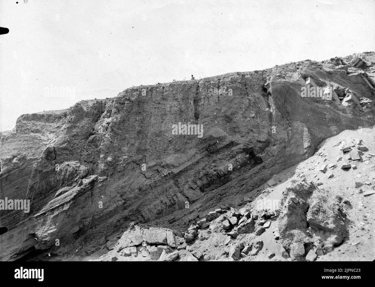 Terreno di allevamento per l'allevamento (corvus tingitanus 1910 Häckningsterräng för Korp (Corvus tingitanus 1910 Foto Stock