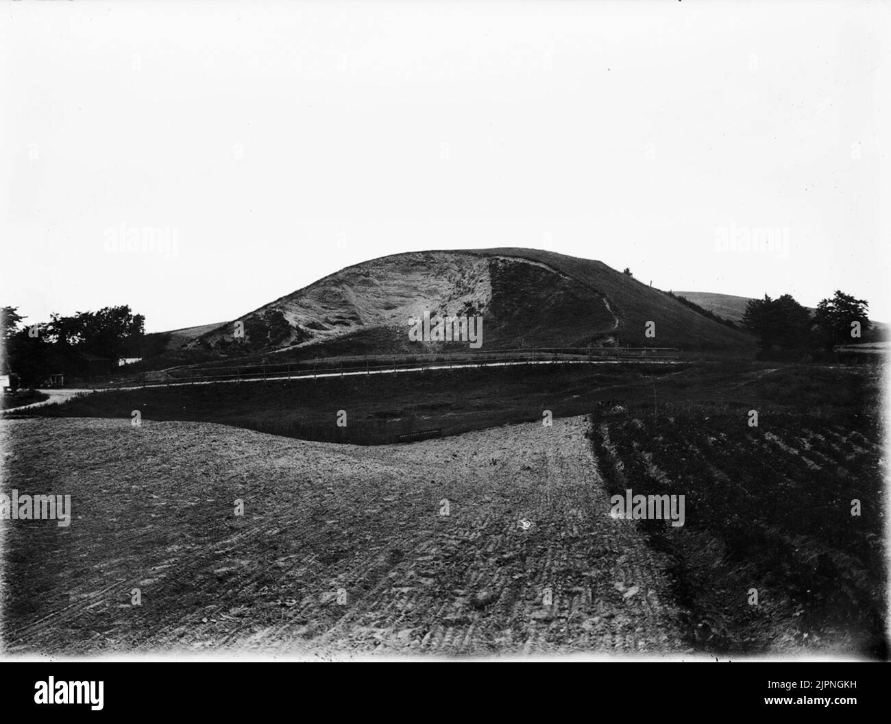 Backsvala Backsvala Foto Stock