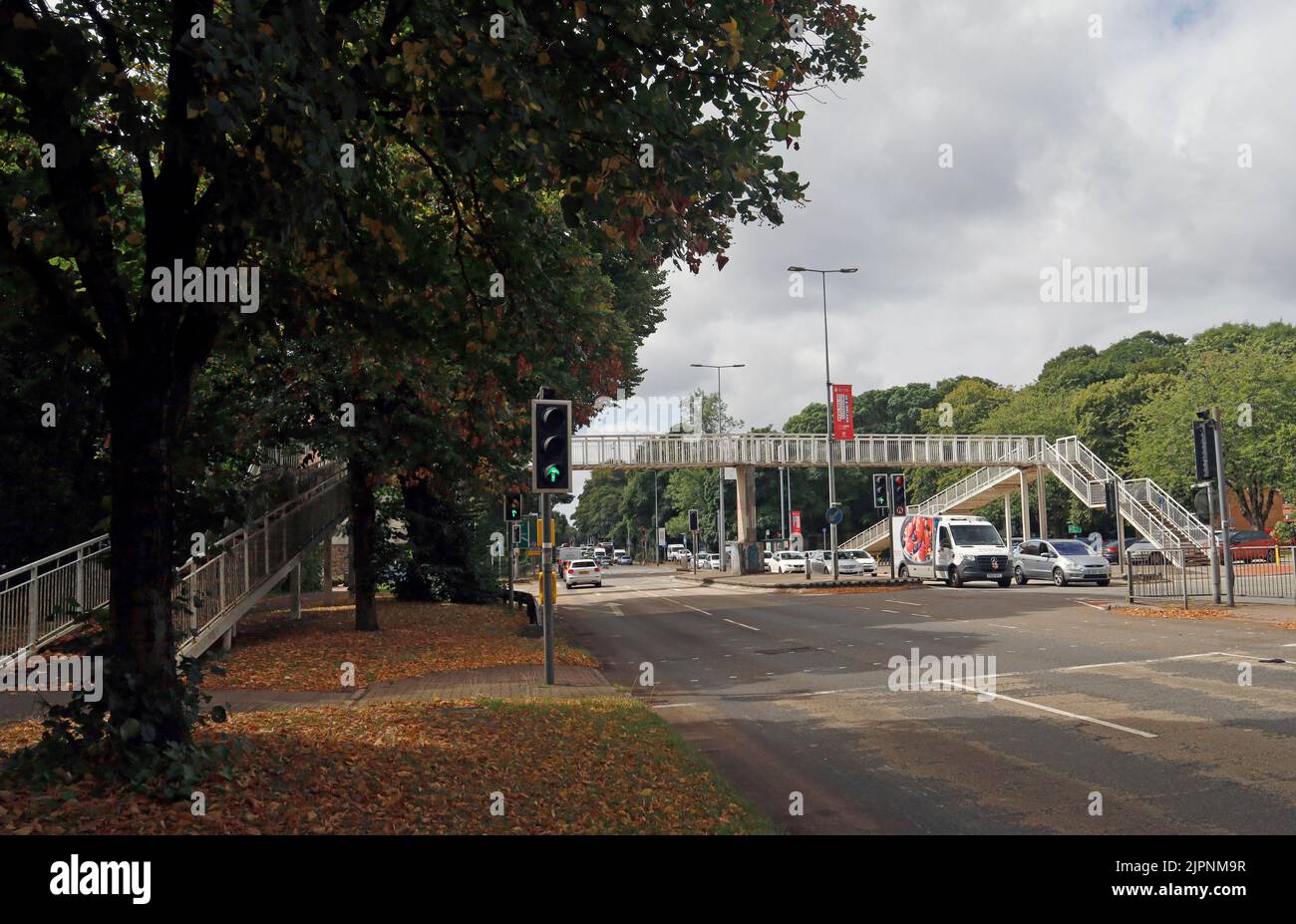 Passerella su Western Avenue, Cardiff. Foto Stock