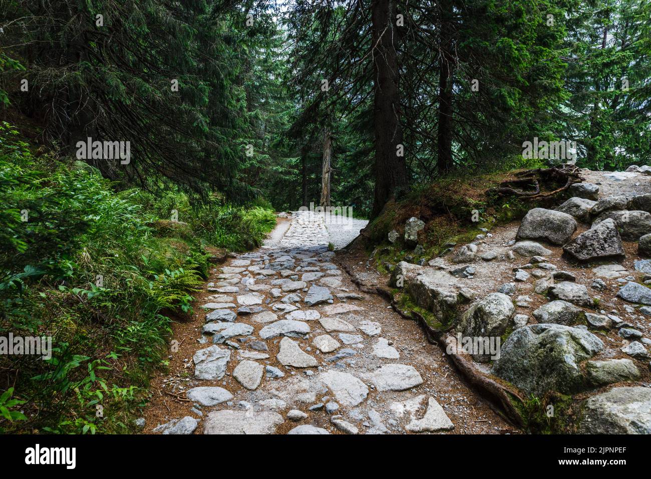 Sentiero escursionistico nei pressi di Morskie Oko o occhio del mare, nella montagna alti Tatra Foto Stock