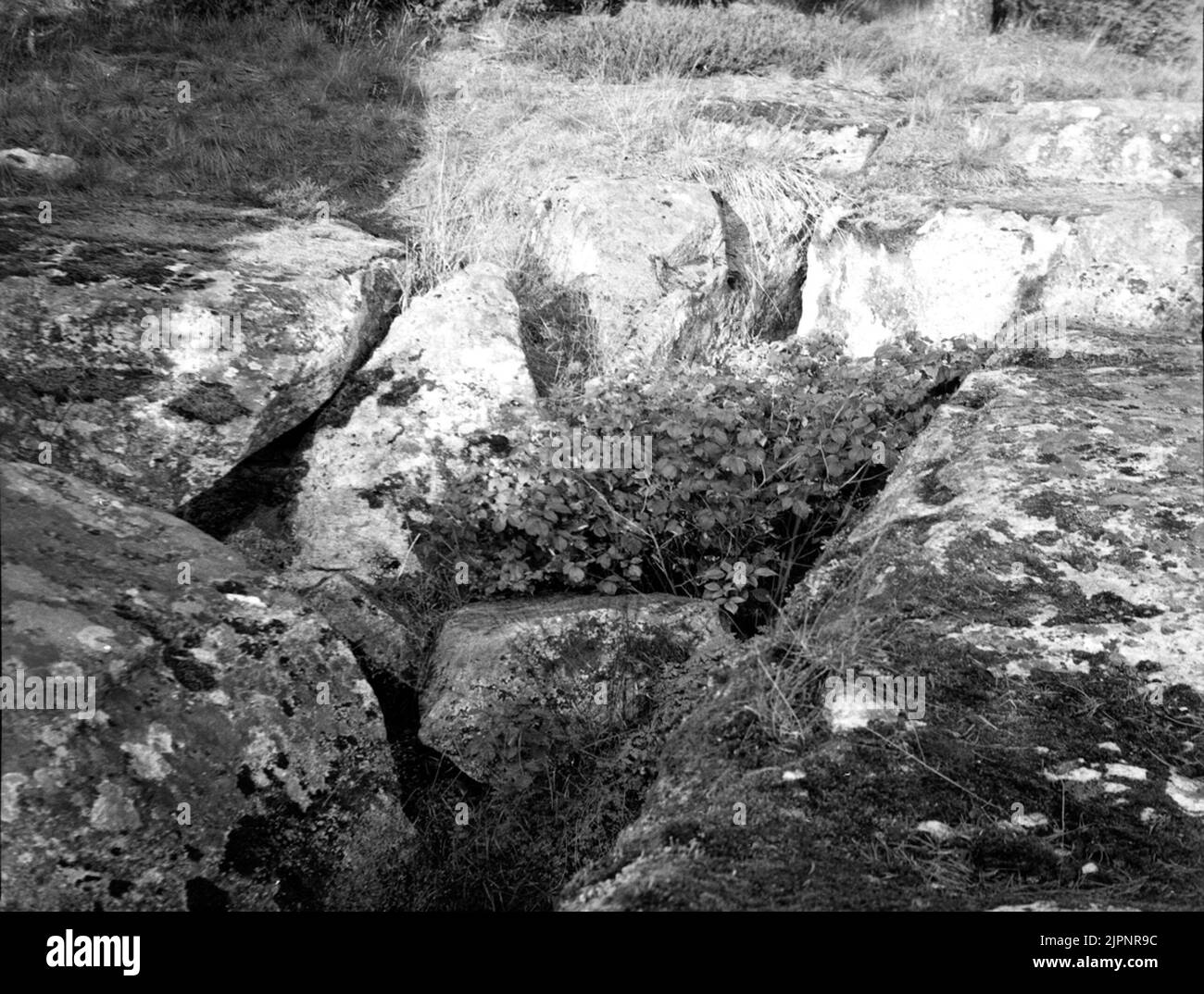 Ladro della memoria naturale. Naturminne Tjuvahålan. Foto Stock