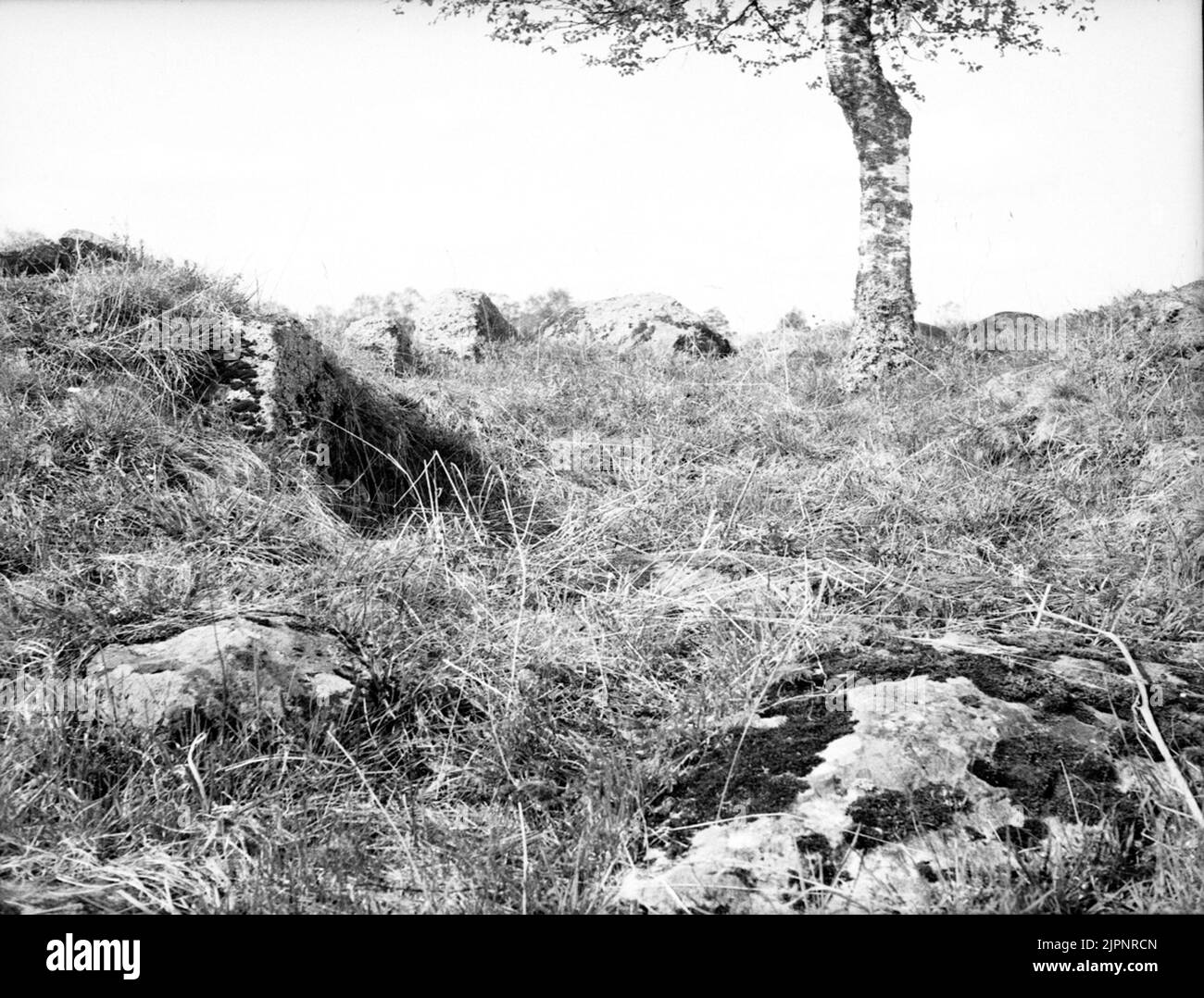 Memoria naturale da Slöta. Naturminne från Slöta. Foto Stock
