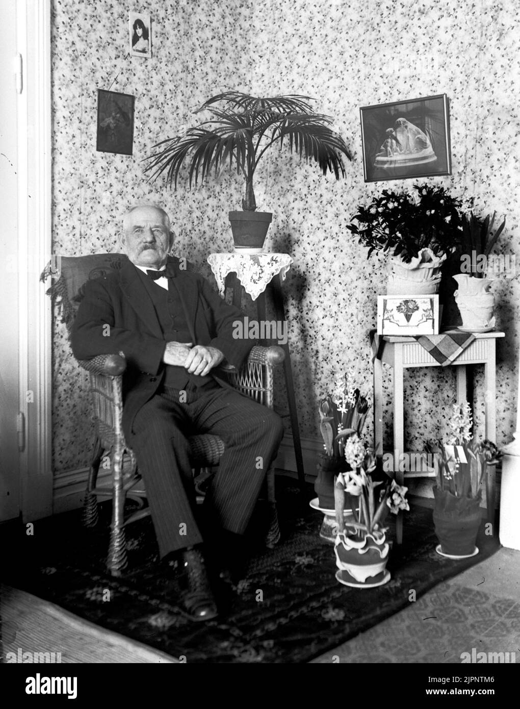 80th° compleanno di Carlberg. Carlbergs 80-årsdag. Foto Stock