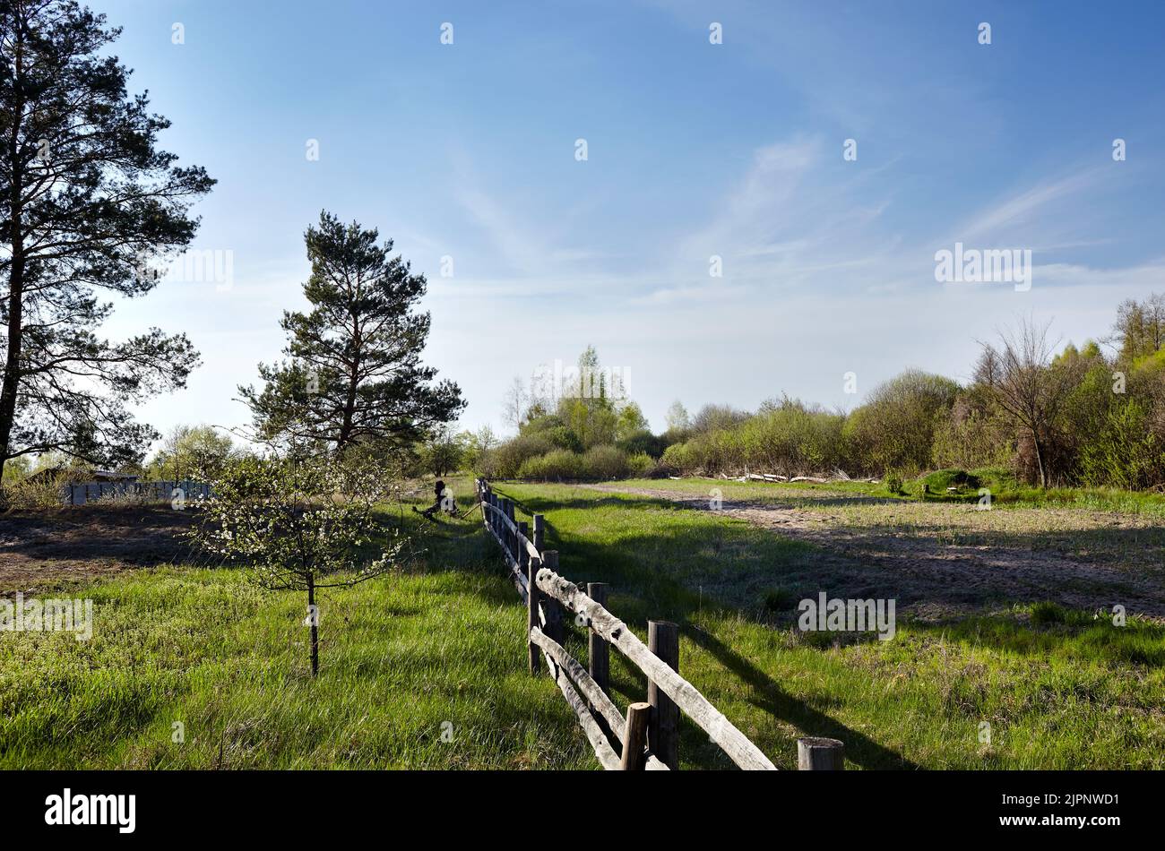 Vecchio cortale di legno contro un cielo blu in una giornata di sole. Paddock in erba su terreno agricolo con recinzione in legno su sfondo forestale denso. Vista rurale prato e fen Foto Stock