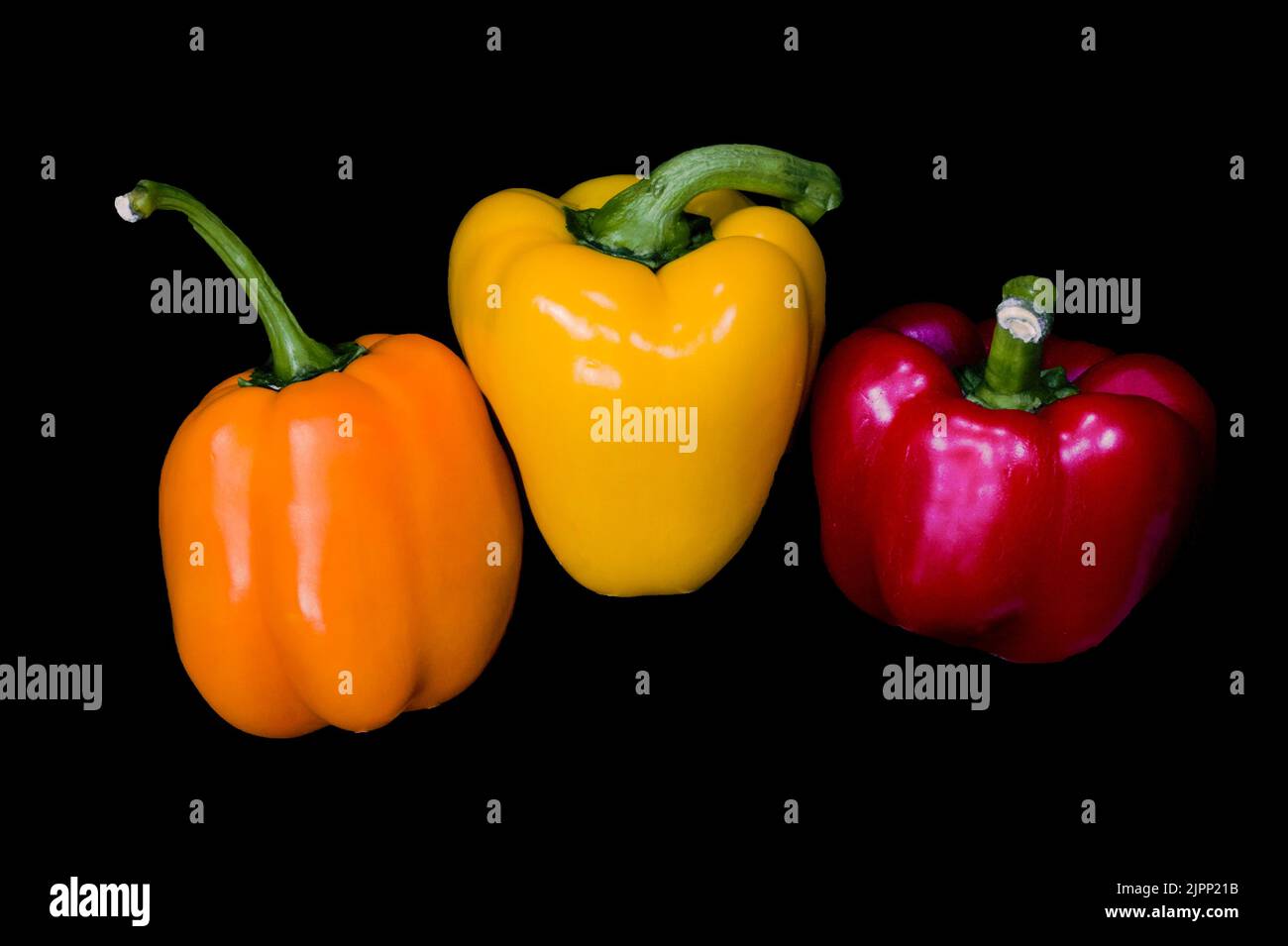 I colori già brillanti dei peperoni maturi appaiono ancora più vividi su uno sfondo nero. Foto Stock