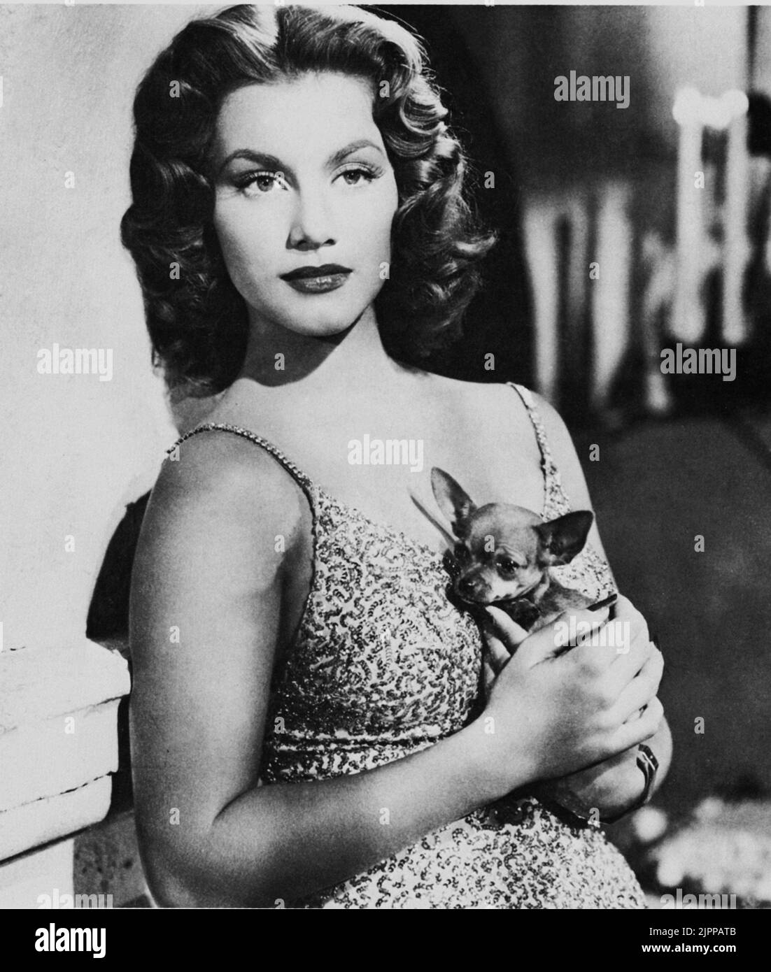 L'attrice cinematografica LINDA CHRISTIAN ( 1923 - 2011 ) , sposò dal 1949 al 1956 con Tyrone Power e dal 1962 al 1963 con Edmund Purdom . Madre di Romina Power Carrisi . - CINEMA - canna - cane da compagnia - chiuawa - ---- Archivio GBB Foto Stock